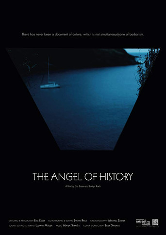 The Angel of History poster