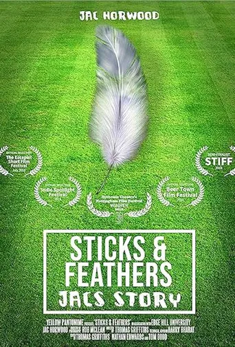 Sticks and Feathers poster