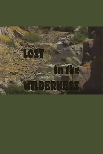 Lost In The Wilderness poster