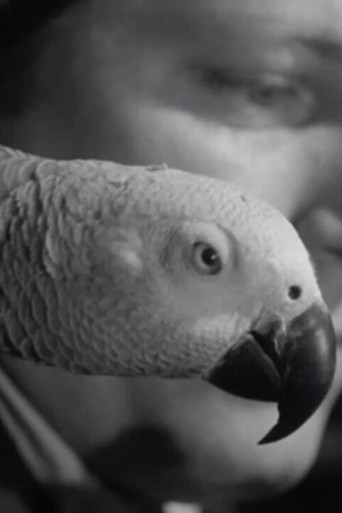 A Journal of the Outdoors No. 11 poster