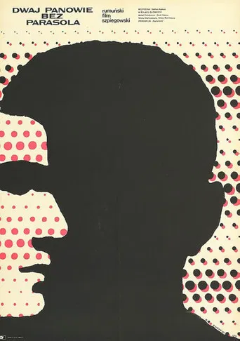 The Likeable Mister R. poster