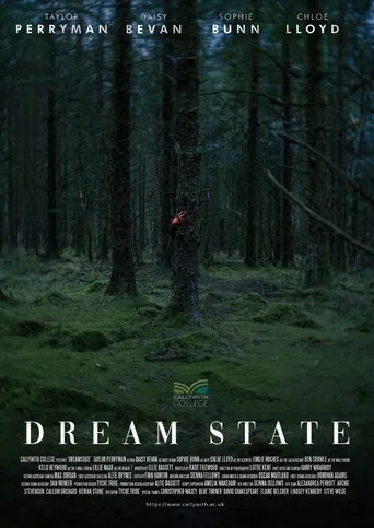 Dream State poster