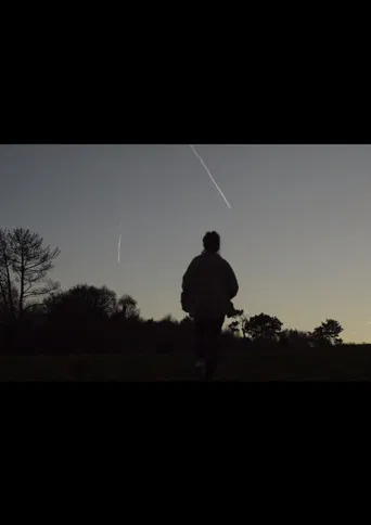 Cuando miro por la ventana veo el bosque poster