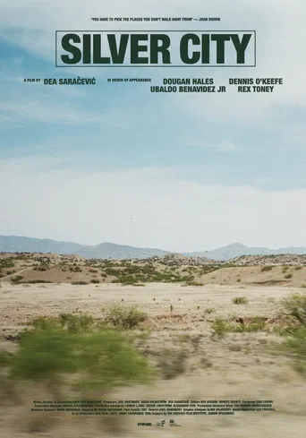 Silver City poster