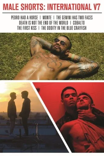 Male Shorts: International V7 poster