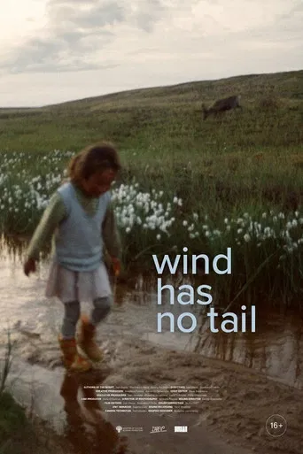 Wind Has No Tail poster