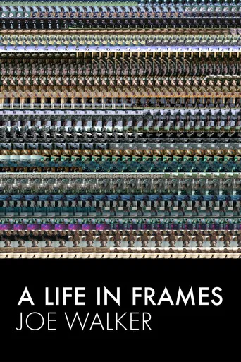 A Life in Frames — Joe Walker poster