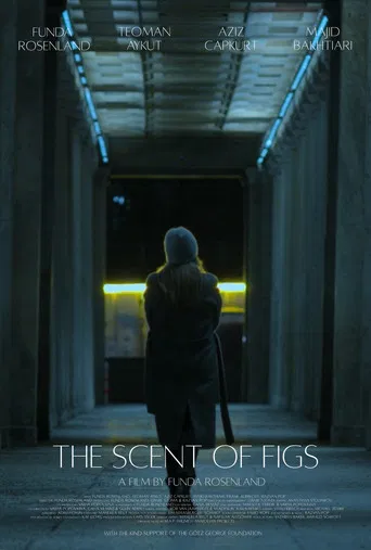 The Scent of Figs poster