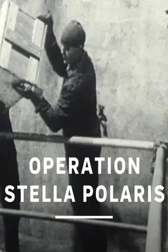 Operation Stella Polaris poster