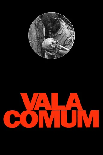 Vala Comum poster