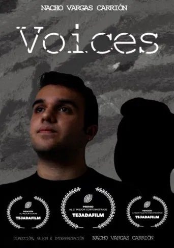 Voices poster