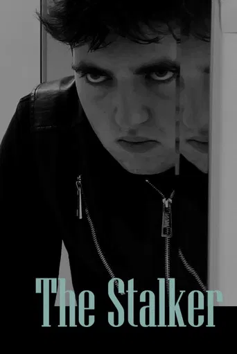 The Stalker poster