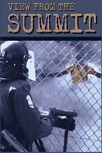 View from the Summit poster