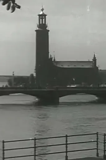 Venice of the North poster