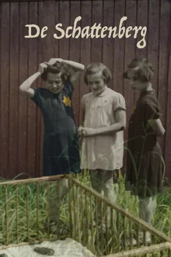 Treasure Mountain poster