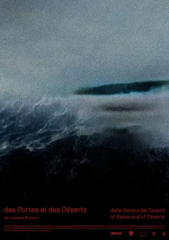 Des portes et des déserts poster