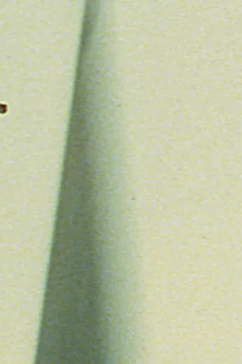 No Night No Day poster