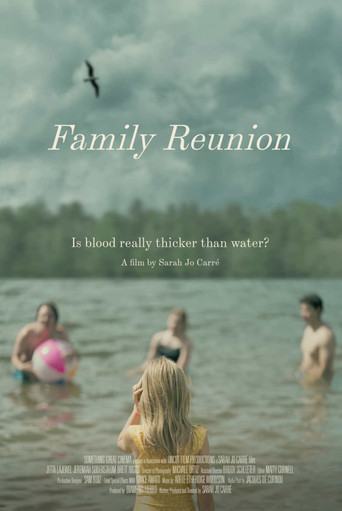 Family Reunion poster