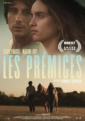 The Beginnings poster