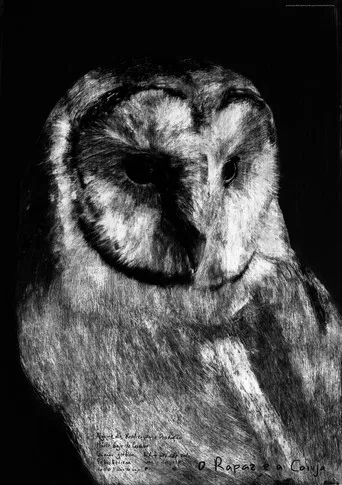 The Boy and the Owl poster