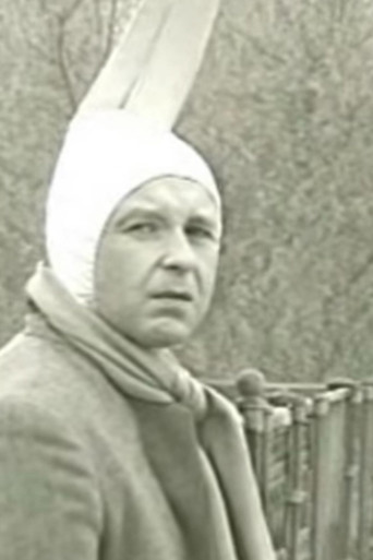 The year of the hare poster