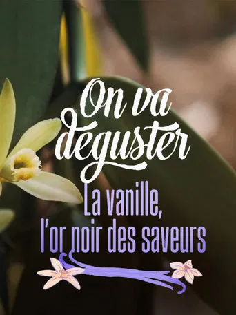 On va déguster : La vanille, l'or noir des saveurs poster