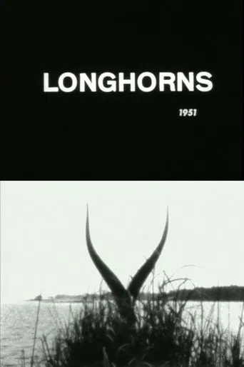Longhorns poster