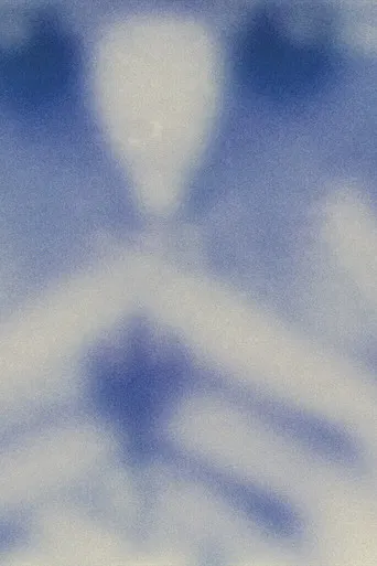 untitled (camera roll) poster