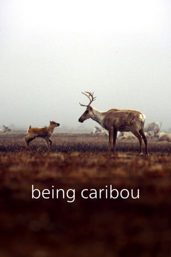 Being Caribou poster