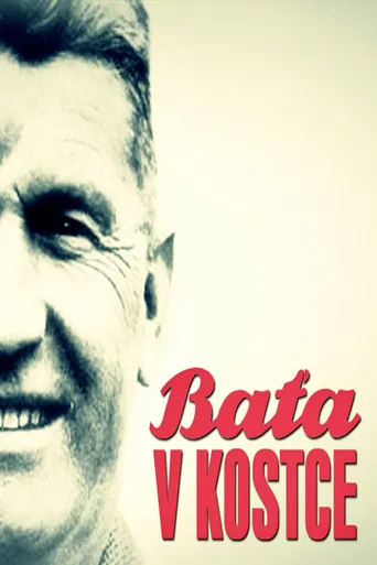 Baťa v kostce poster