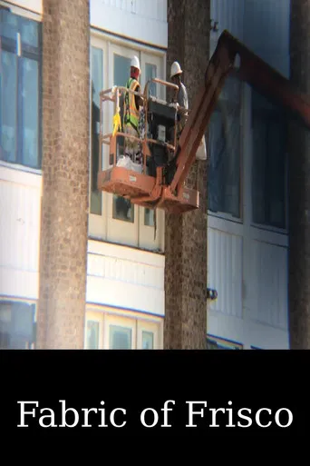 Fabric of Frisco poster