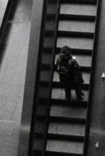 Lumières artificielles poster