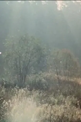 The Cherry Orchard poster