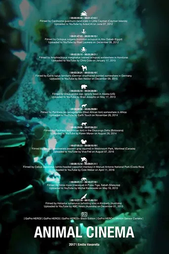 Animal Cinema poster