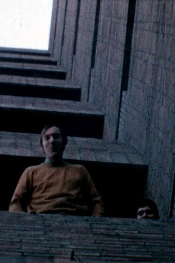 Alucinación arquitectónica poster