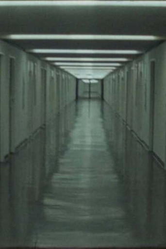 Corbusierhaus poster