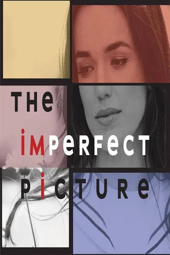 The Imperfect Picture poster