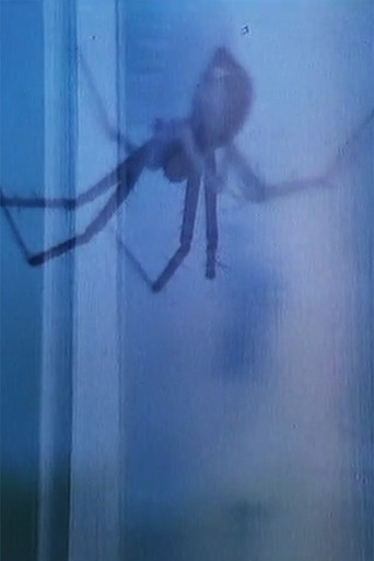 Flora & Fauna poster