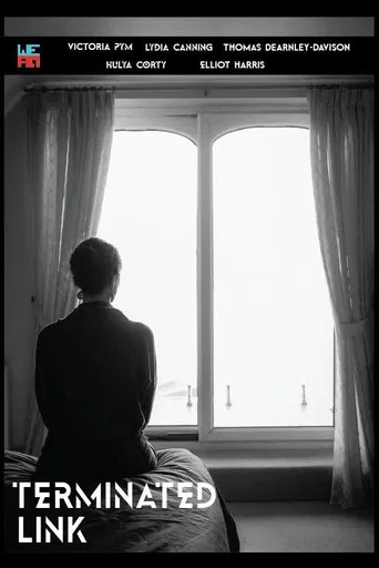 Terminated Link poster