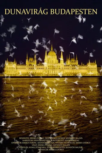 Dunavirág Budapesten poster