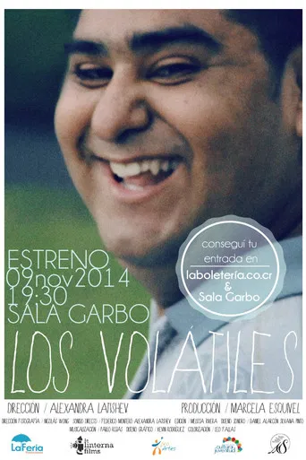 Los volátiles poster