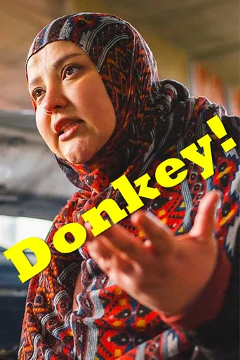 Donkey poster