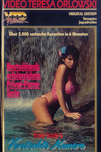 Foxy Lady's versteckte Kamera 2 poster