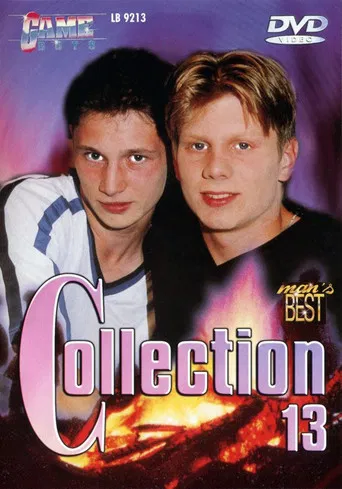 Game Boys Collection 13 poster