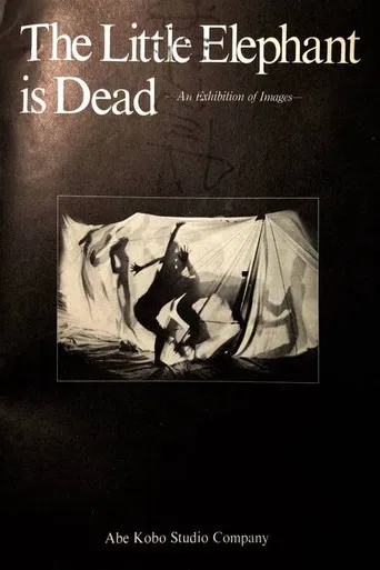 The Little Elephant is Dead / An Elephant Calf Is Dead poster