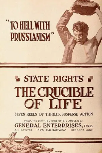 The Crucible of Life poster