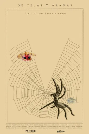 Of Webs and Spiders poster