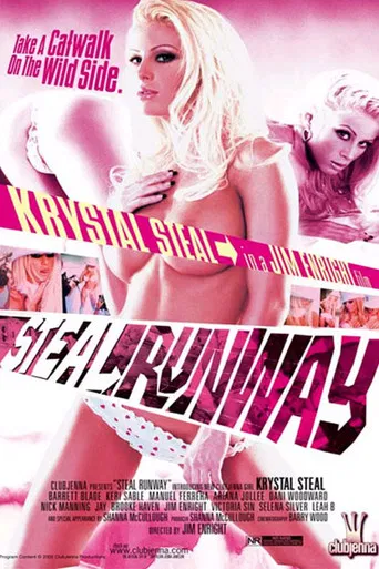Steal Runway poster