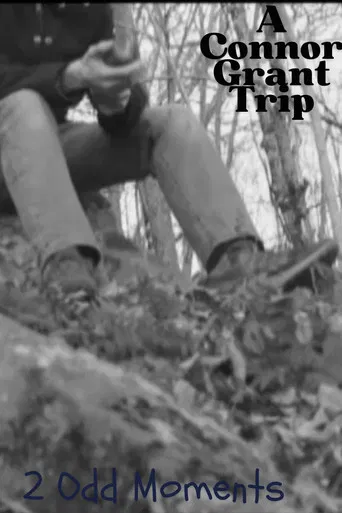 2 Odd Moments poster