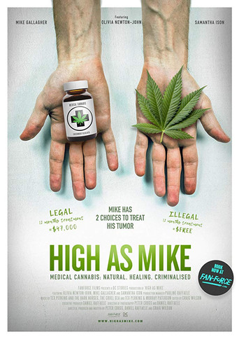 High as Mike poster